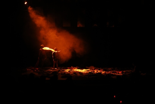 Y-What refuses to Fade